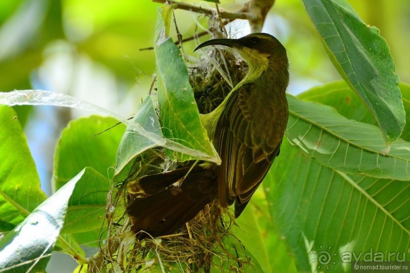 Акуна матата — дубль два. Кения в сезон дождей. Часть 5