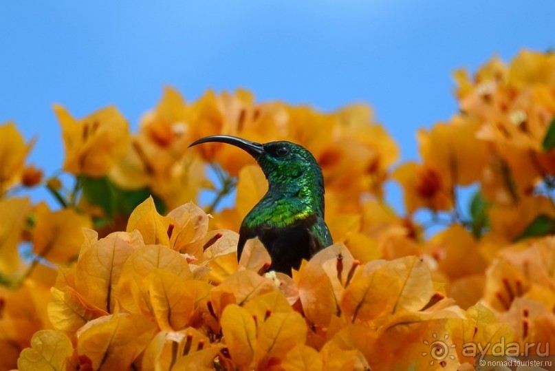 Акуна матата — дубль два. Кения в сезон дождей. Часть 5