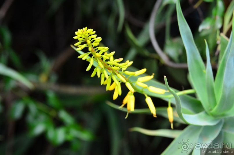 Акуна матата — дубль два. Кения в сезон дождей. Часть 5