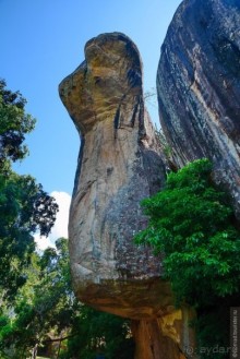 Цейлон на троих. Часть 2