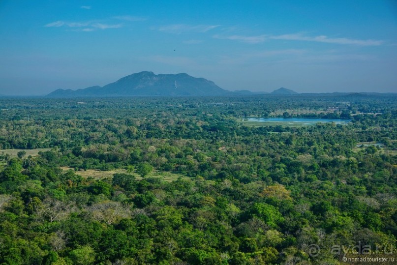 фото Дамбуллы