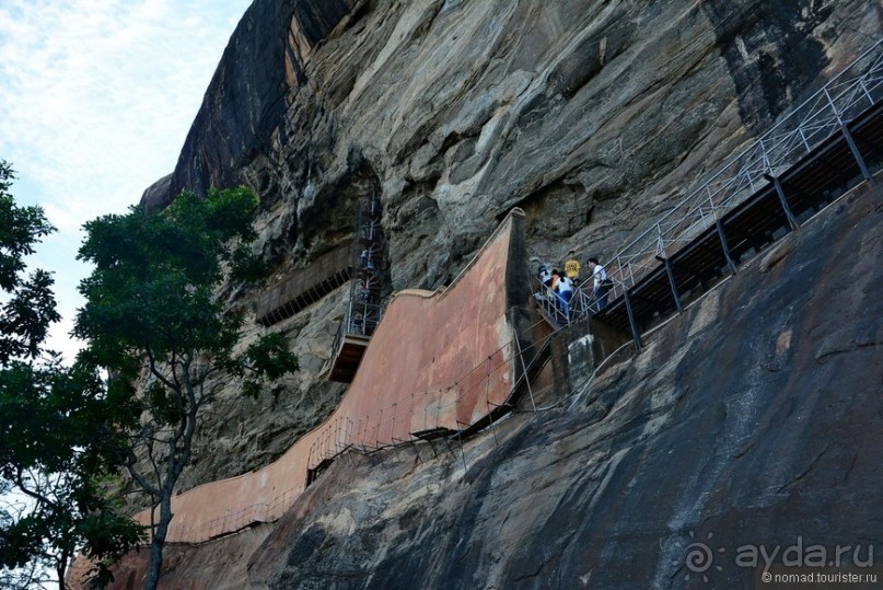 фото Дамбуллы
