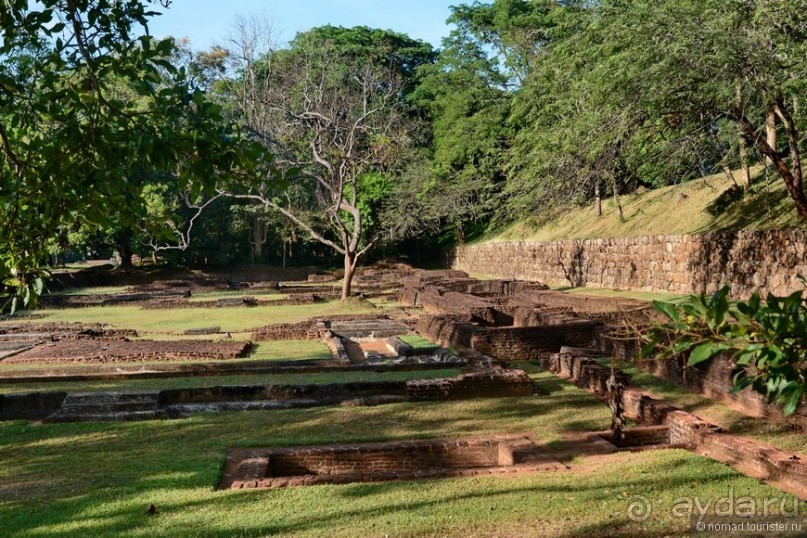 фото Дамбуллы