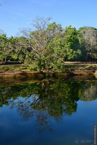фото Дамбуллы
