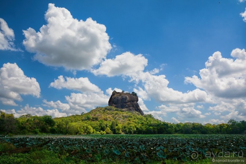 Цейлон на троих. Часть 2