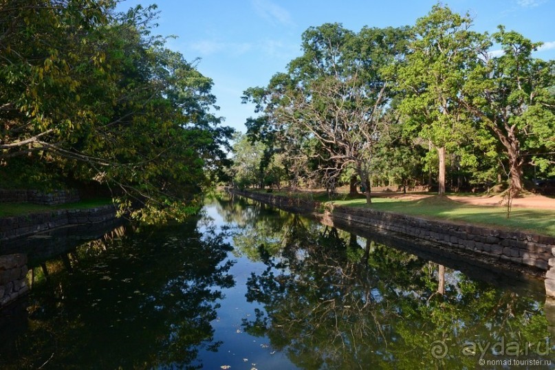 фото Дамбуллы