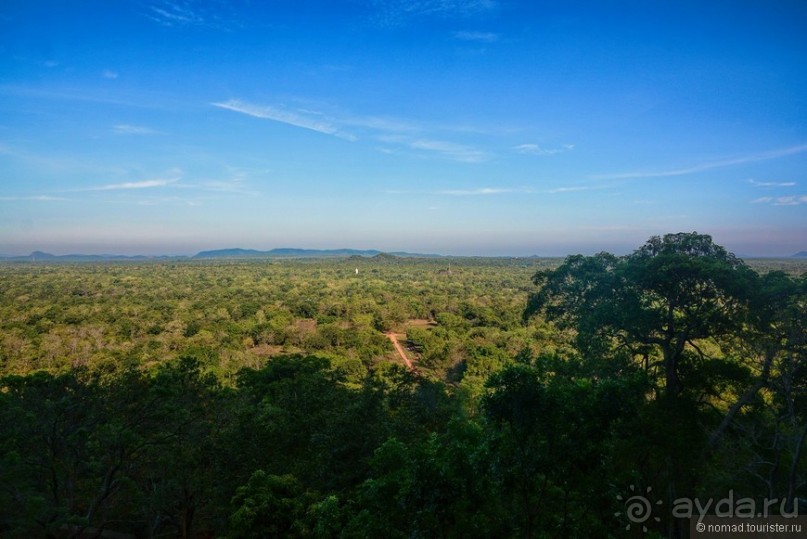 фото Дамбуллы