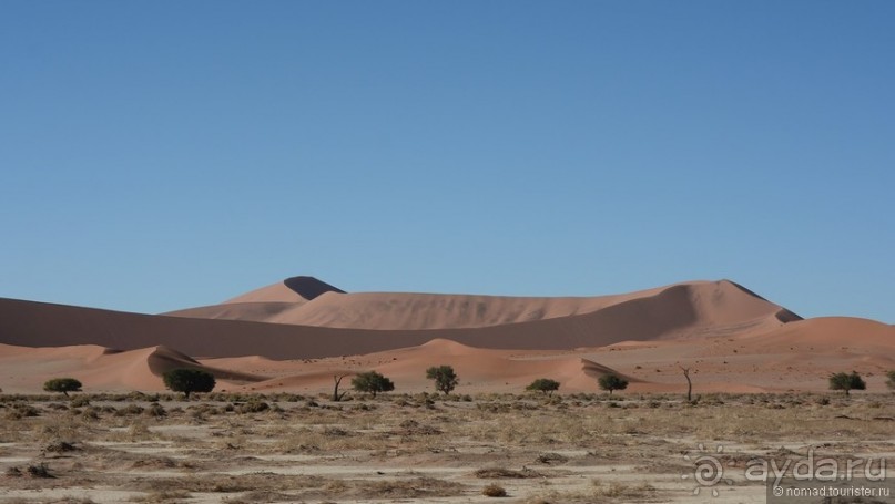 Африканский калейдоскоп. Часть 7