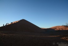 Альбом отзыва "Африканский калейдоскоп. Часть 7"