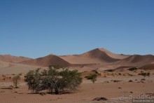 Африканский калейдоскоп. Часть 7