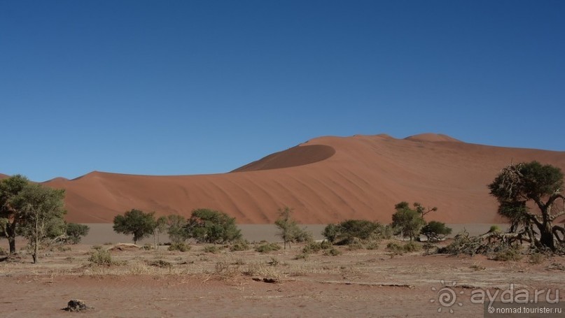 Африканский калейдоскоп. Часть 7