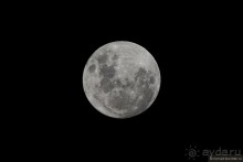 Африканский калейдоскоп. Часть 7