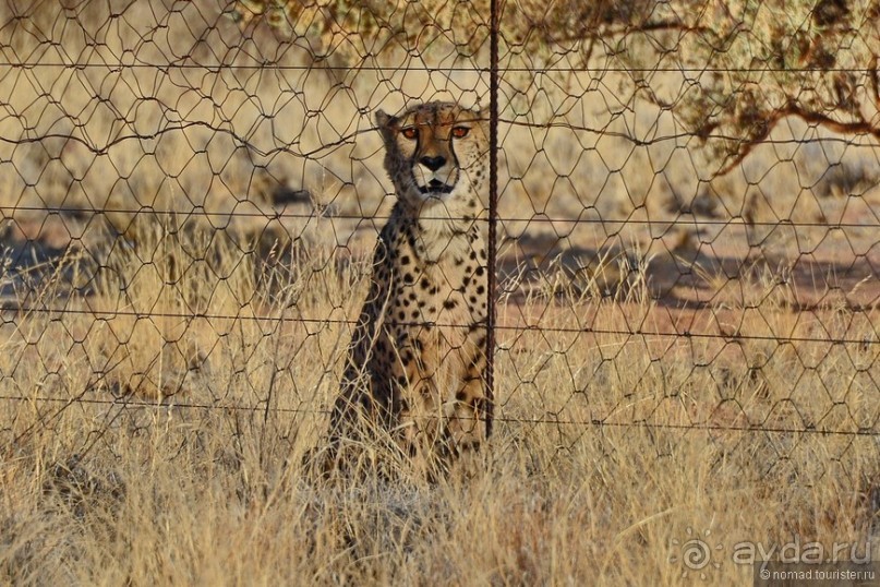 Африканский калейдоскоп. Часть 7