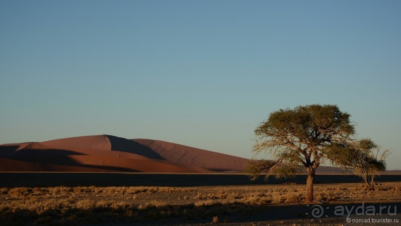 Африканский калейдоскоп. Часть 7