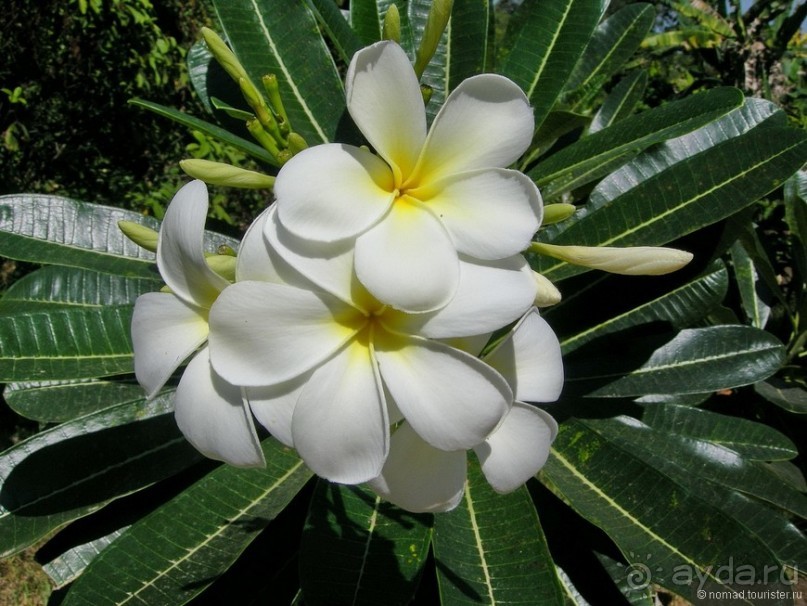 Древние храмы и вечные пляжи. Часть 5