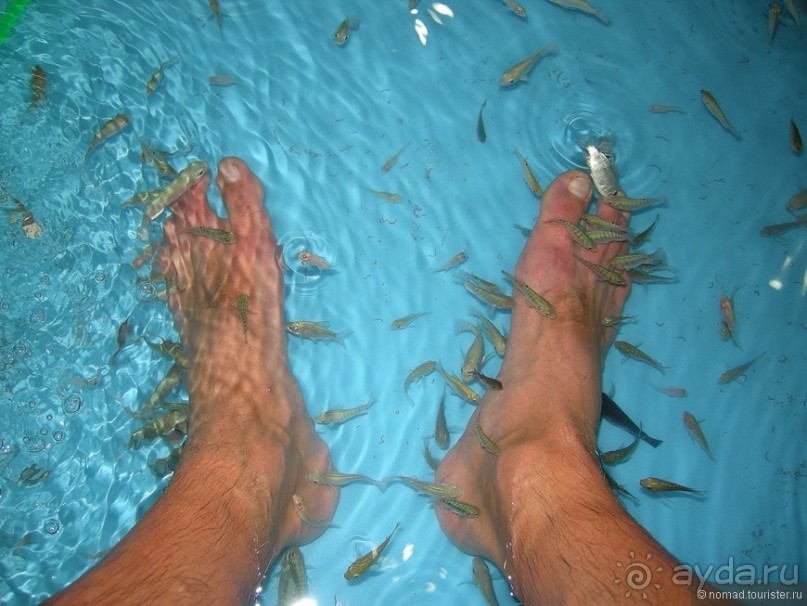 Древние храмы и вечные пляжи. Часть 5