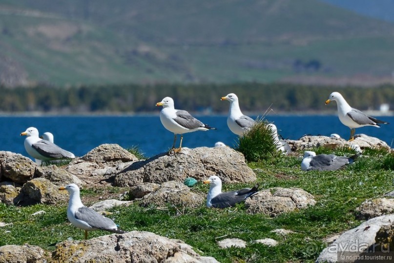 Страна хачкаров и алых маков. Часть 6