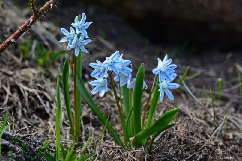 Страна хачкаров и алых маков. Часть 6