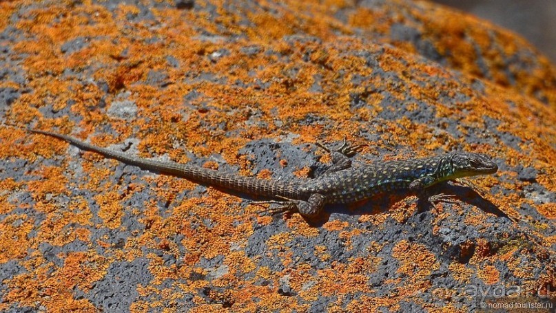Страна хачкаров и алых маков. Часть 6