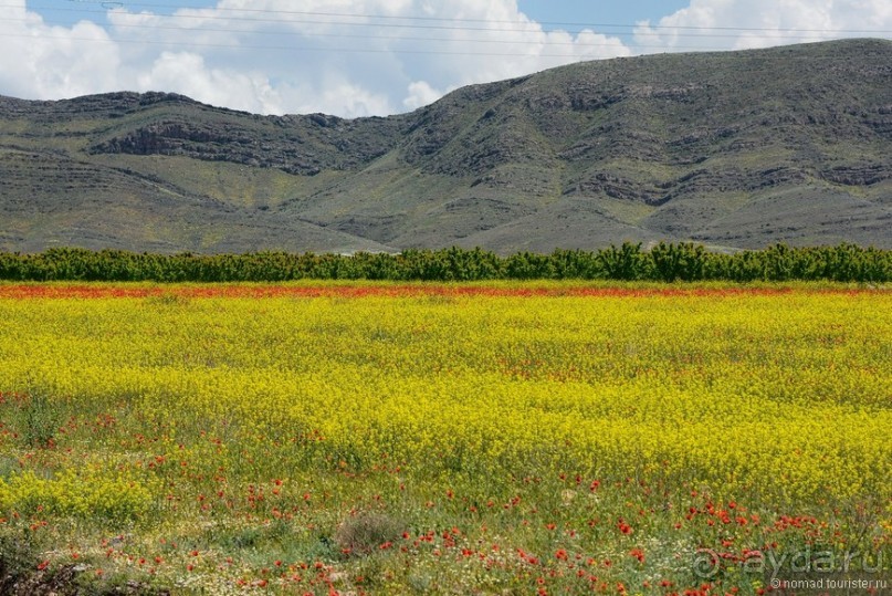 Страна хачкаров и алых маков. Часть 4