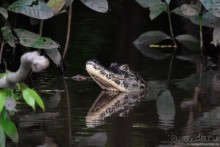 Bolivia te espera! Часть 8