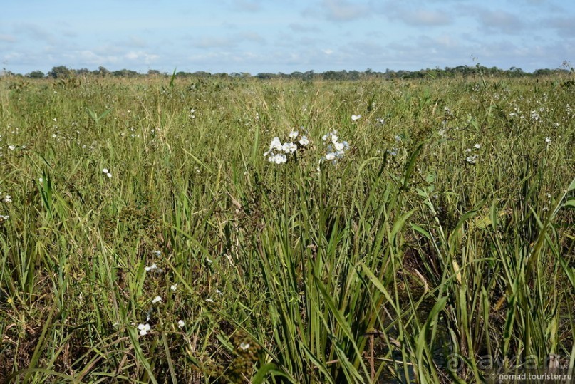 Bolivia te espera! Часть 8