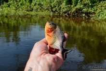 Bolivia te espera! Часть 8