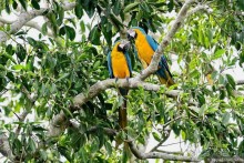 Bolivia te espera! Часть 8