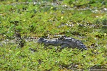 Bolivia te espera! Часть 8