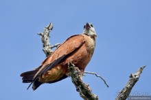 Bolivia te espera! Часть 8