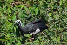 Bolivia te espera! Часть 8