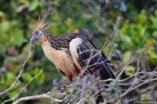 Bolivia te espera! Часть 8