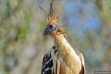 Bolivia te espera! Часть 8