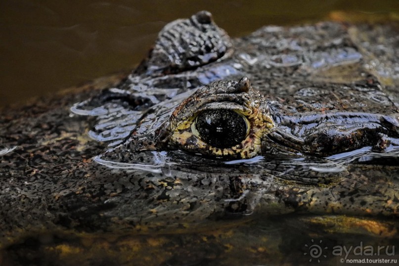 Bolivia te espera! Часть 8