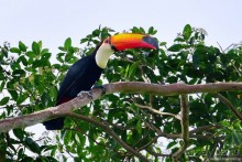 Bolivia te espera! Часть 8