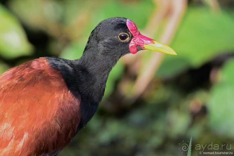 Bolivia te espera! Часть 8