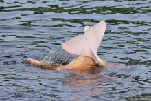 Bolivia te espera! Часть 8