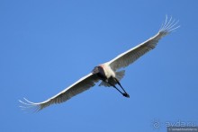 Bolivia te espera! Часть 8