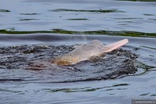 Bolivia te espera! Часть 8