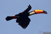 Bolivia te espera! Часть 8