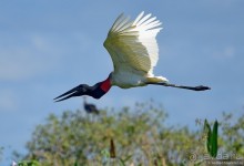 Bolivia te espera! Часть 8