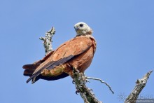 Bolivia te espera! Часть 8