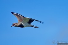 Bolivia te espera! Часть 8