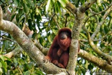 Bolivia te espera! Часть 8