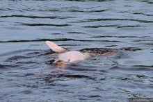 Bolivia te espera! Часть 8