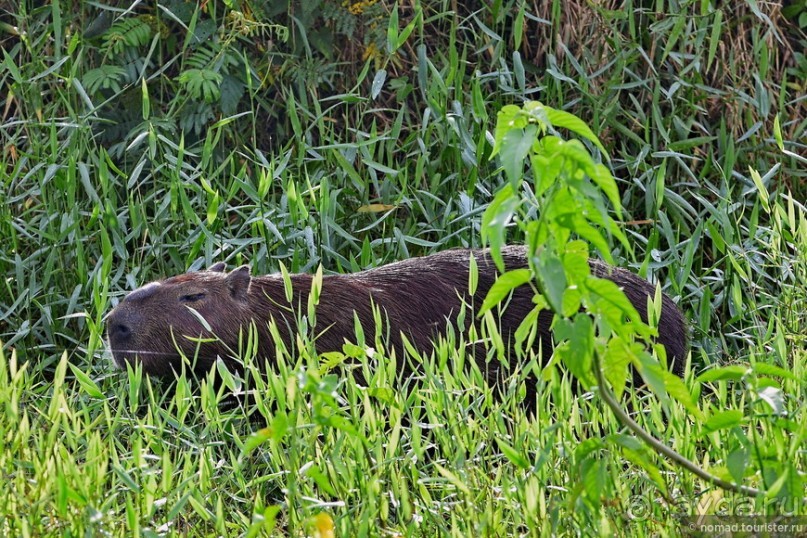 Bolivia te espera! Часть 8