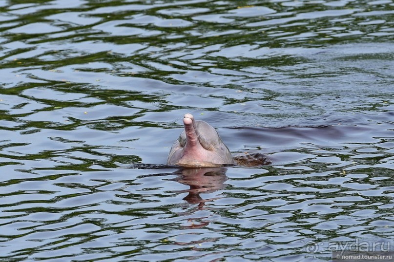 Bolivia te espera! Часть 8
