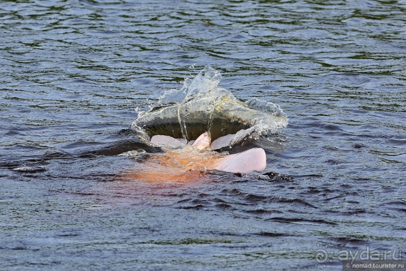 Bolivia te espera! Часть 8