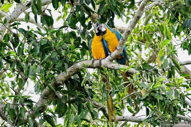 Bolivia te espera! Часть 8