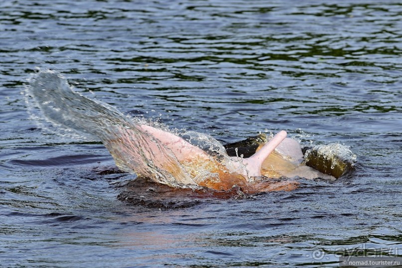 Bolivia te espera! Часть 8